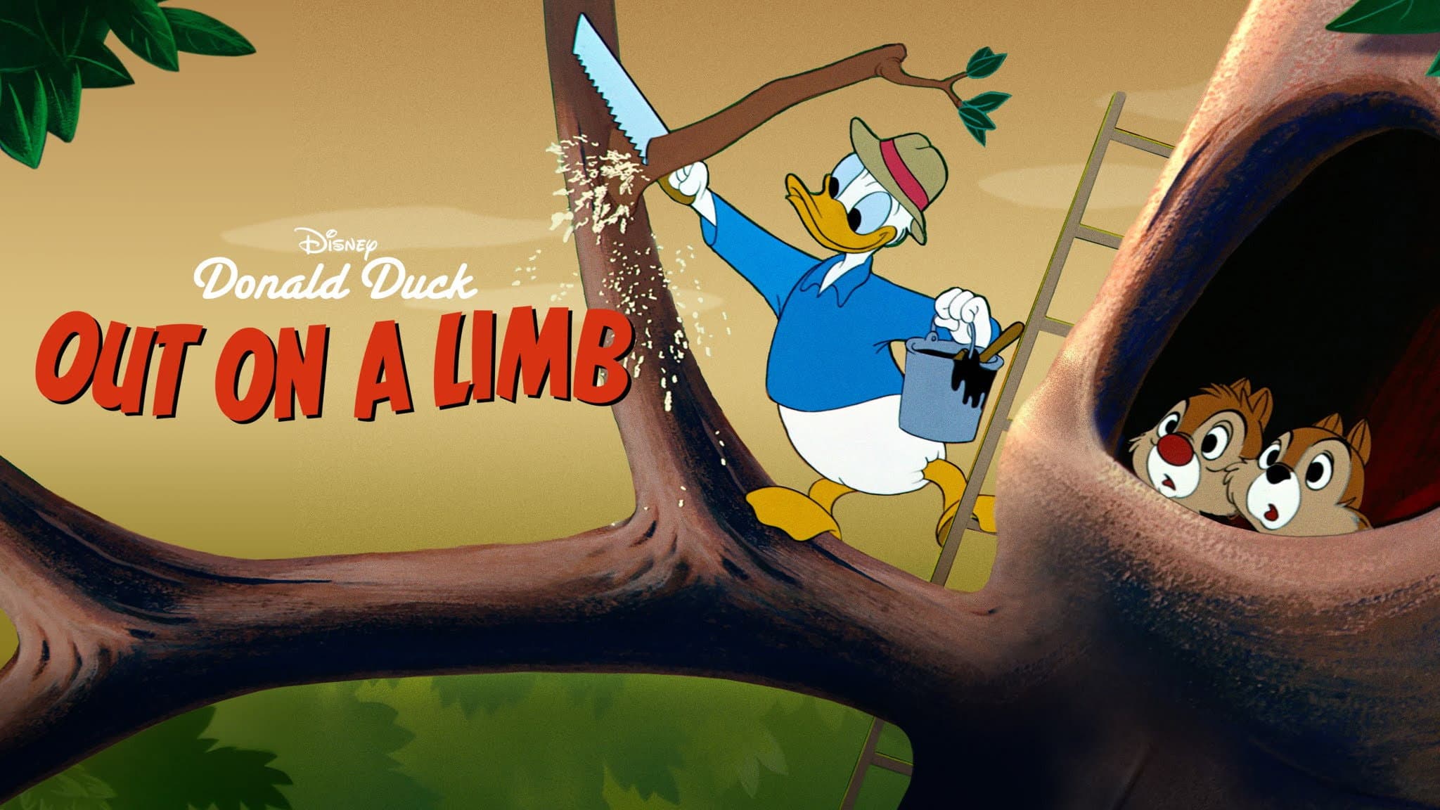 Lassù tra i rami - immagine