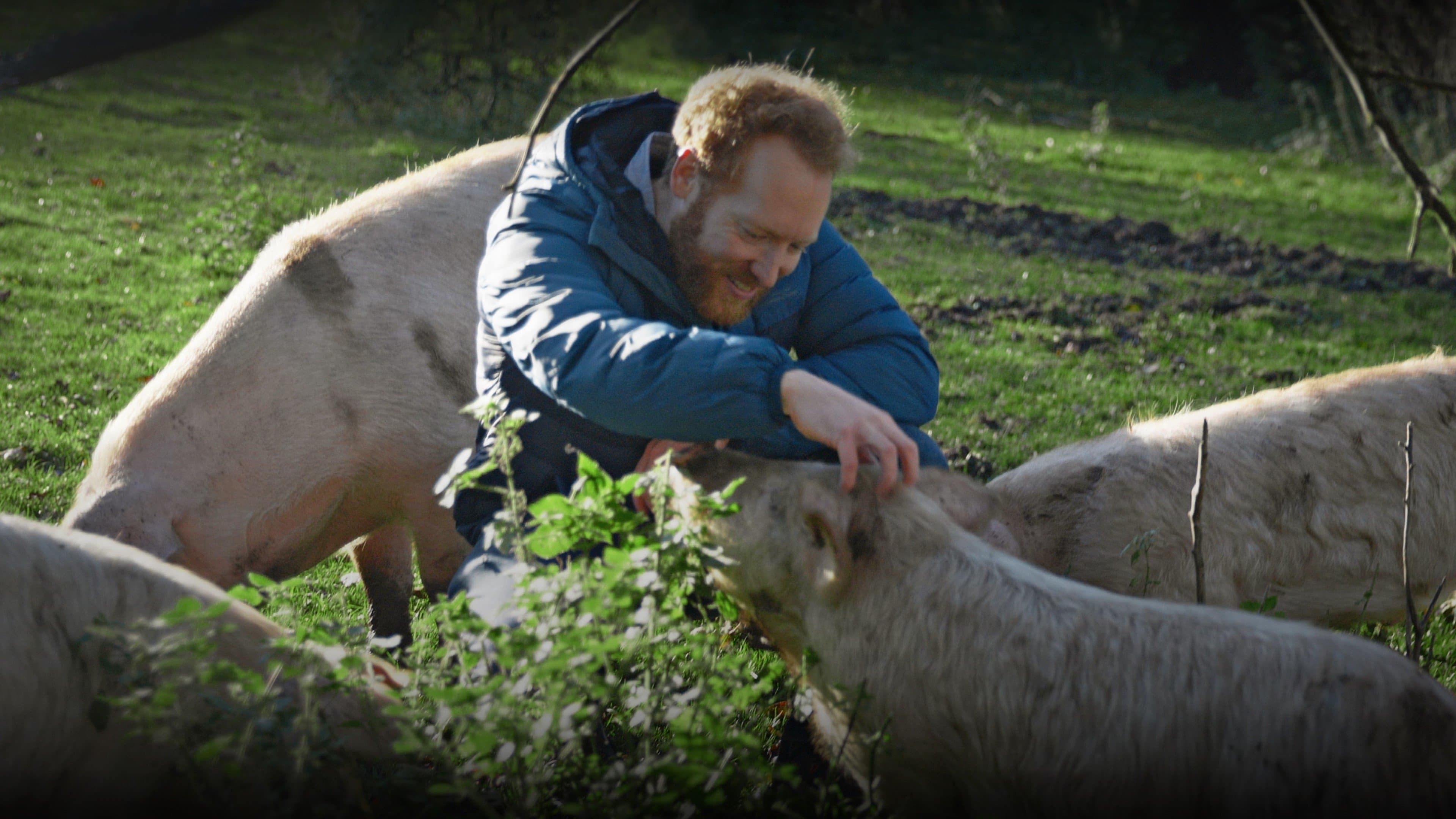 Non sarò mai vegano - immagine