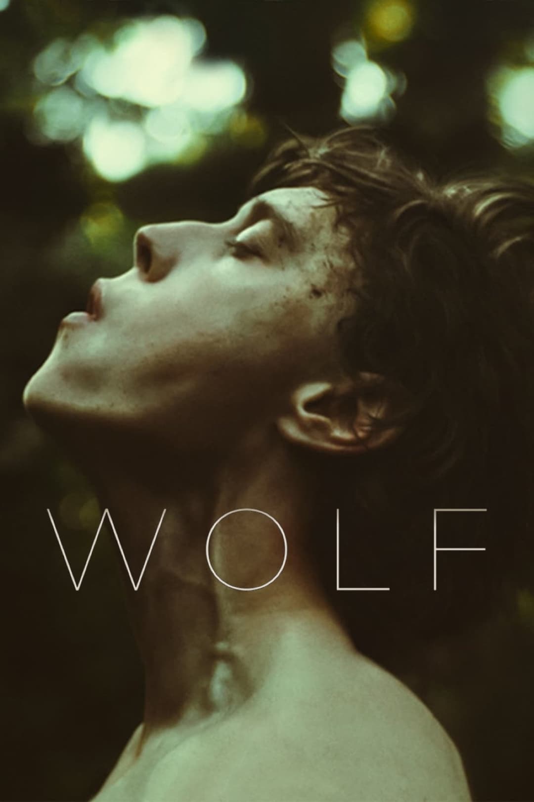 Poster di Wolf