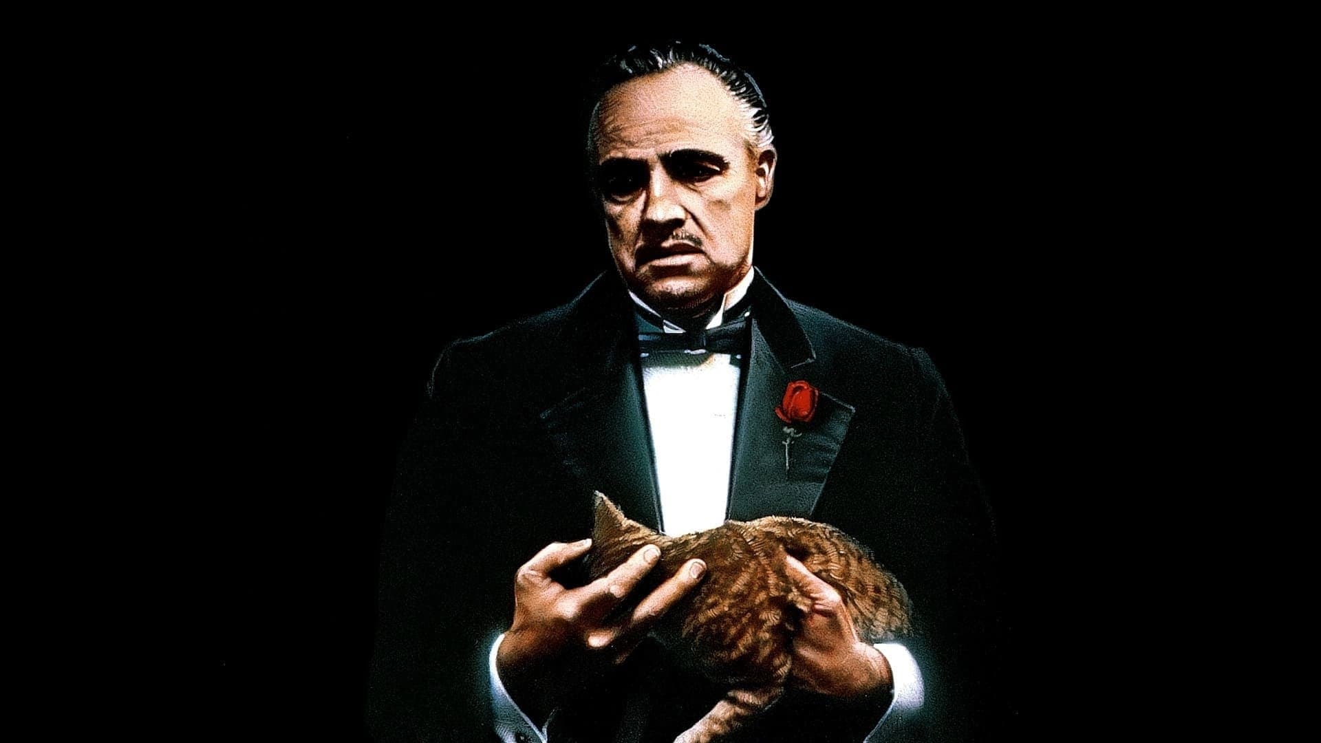 Il padrino - immagine