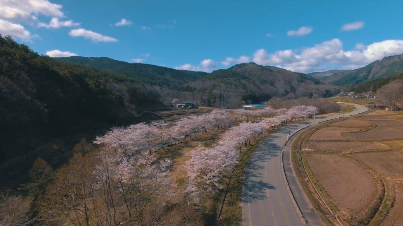一陽来復 - immagine