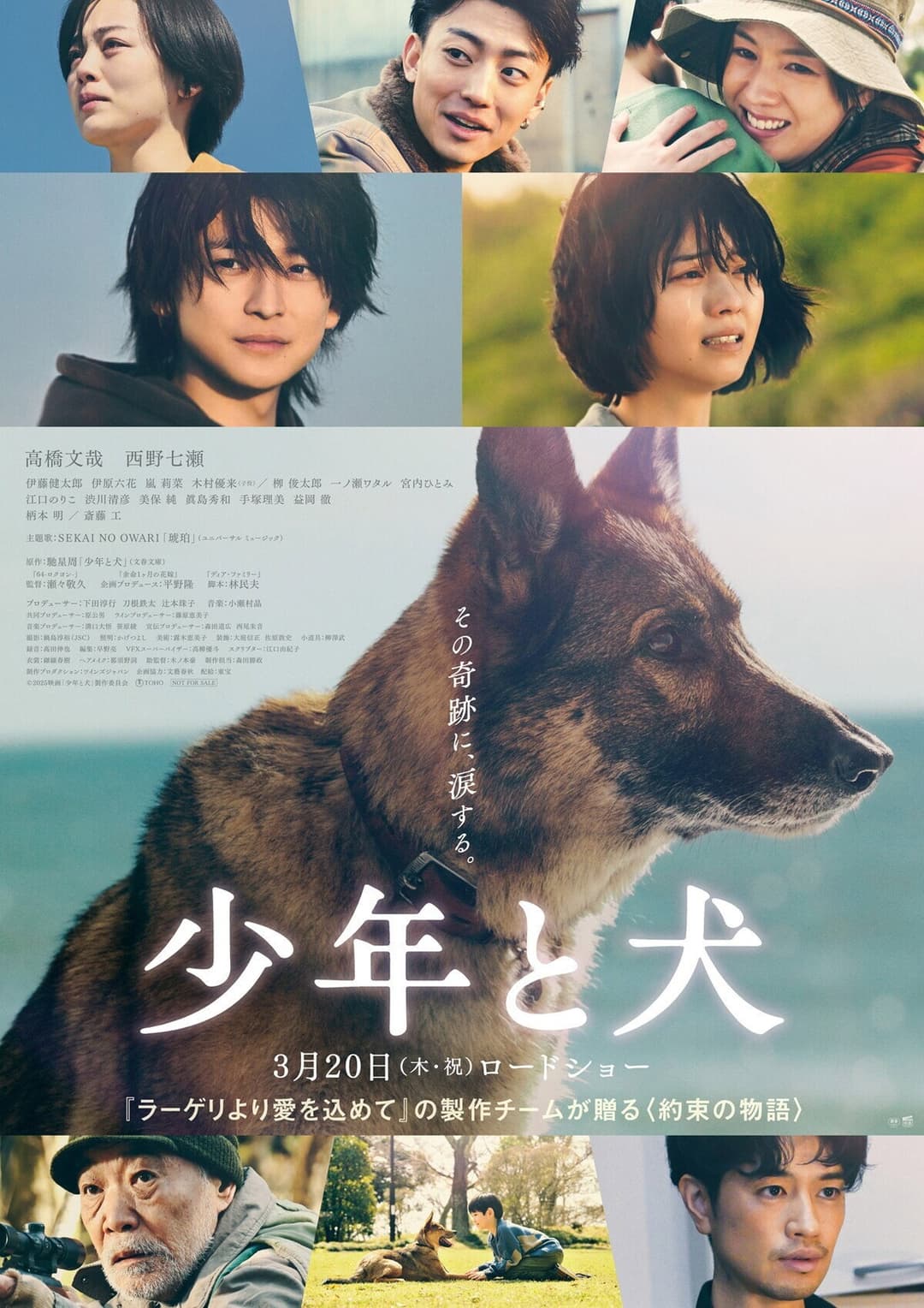 Poster di 少年と犬