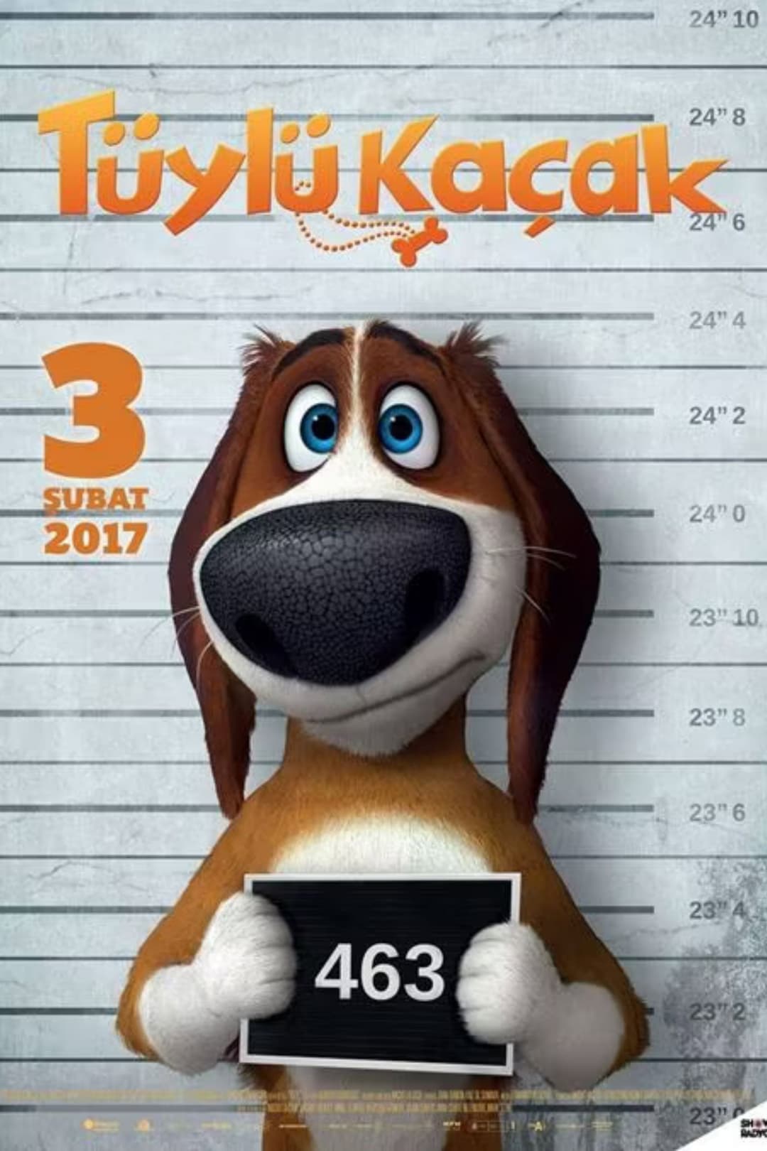 Poster di Run Ozzy Run
