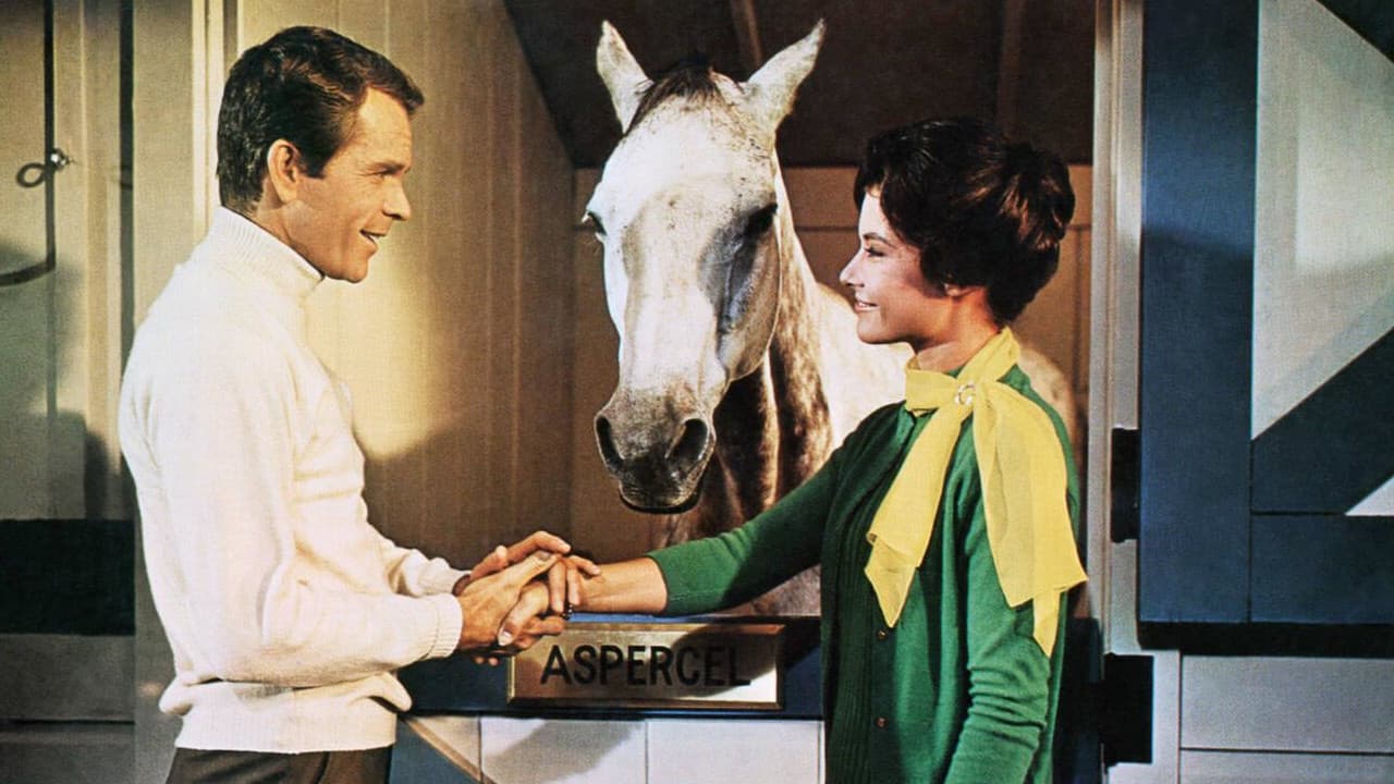 Il cavallo in doppiopetto - immagine