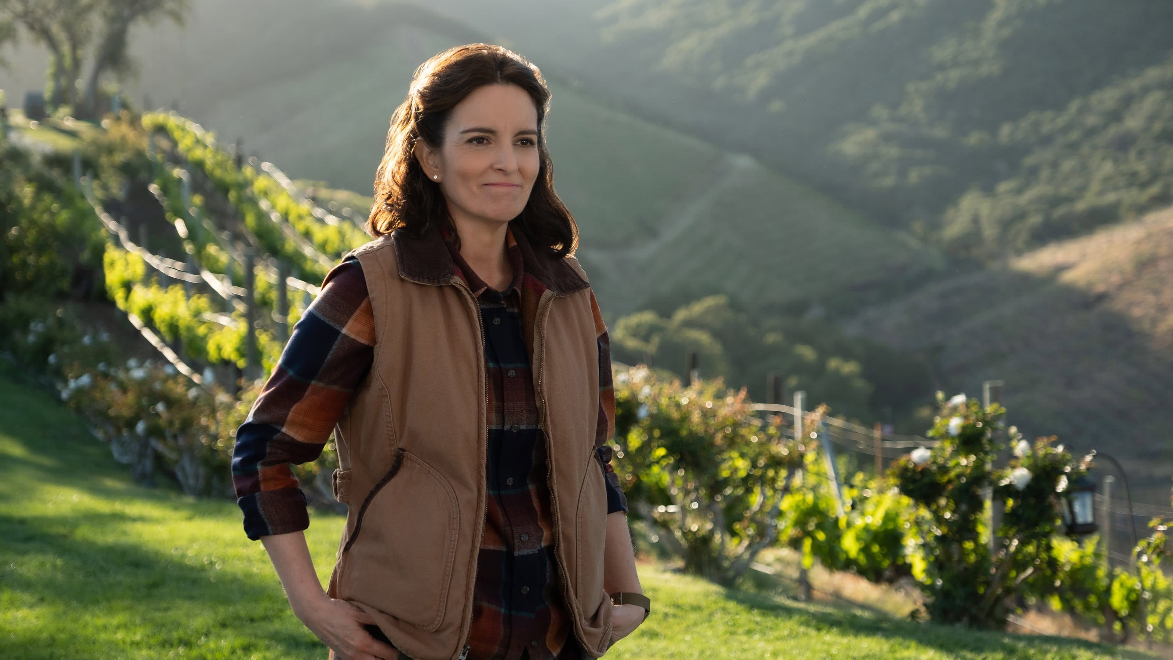Wine Country - immagine