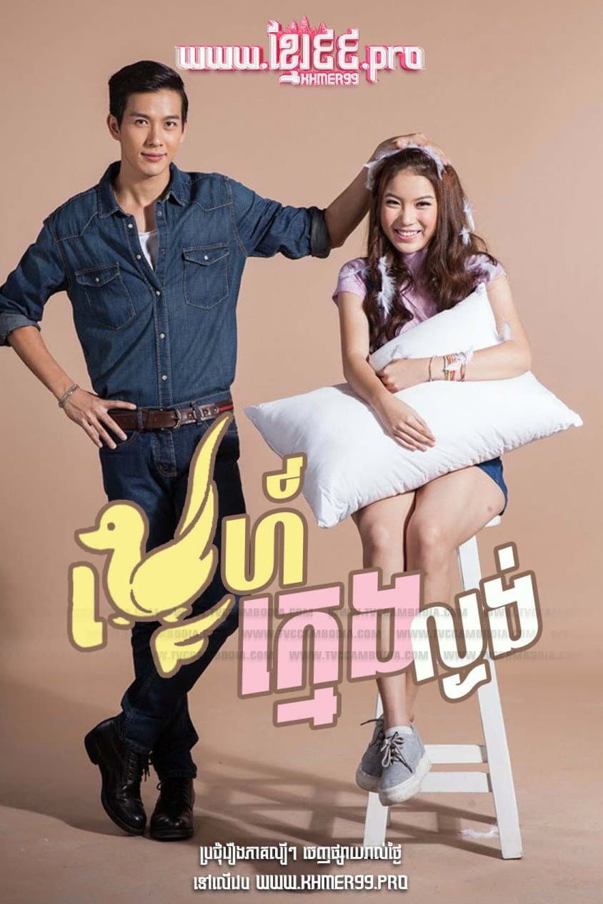 Poster di รักนะเป็ดโง่