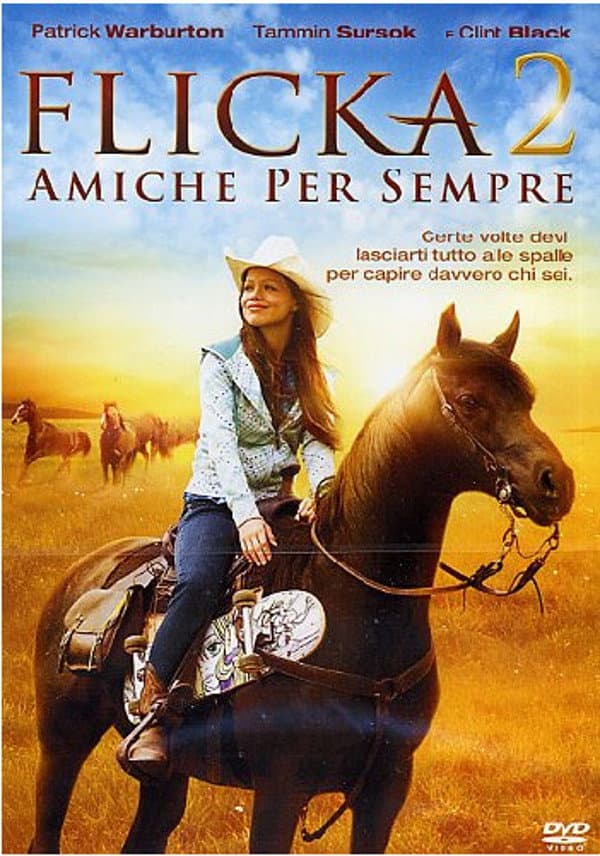 Poster di Flicka 2 - Amiche per sempre