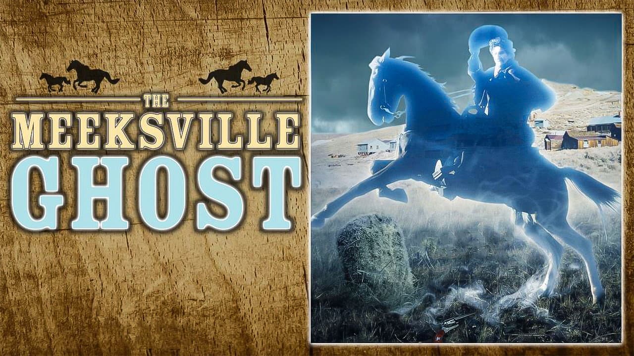 The Meeksville Ghost - immagine