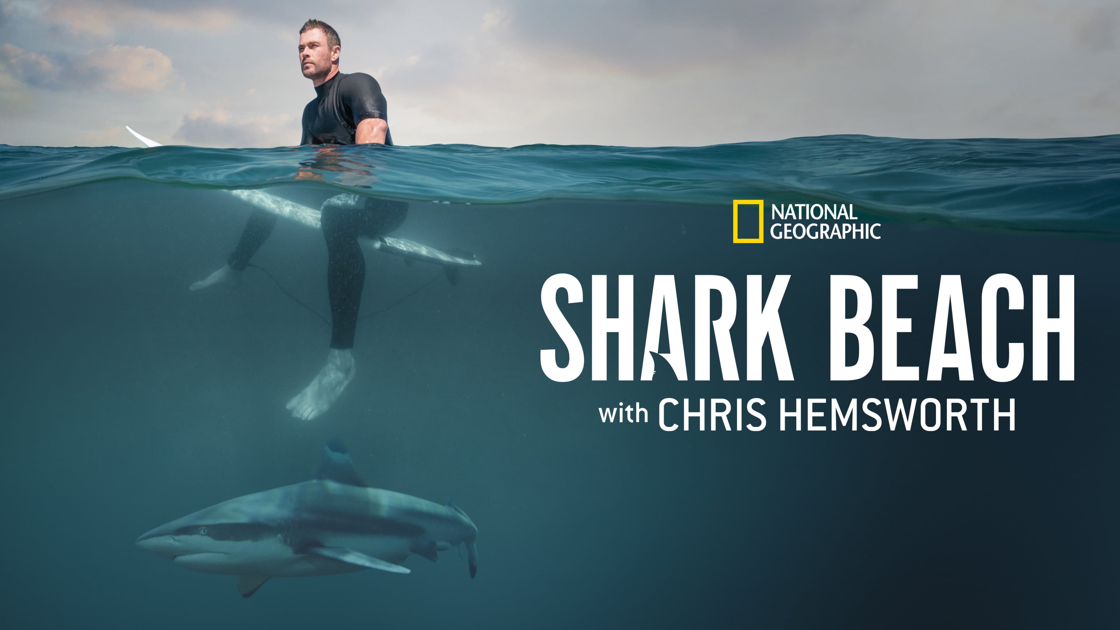 Shark Beach with Chris Hemsworth - immagine