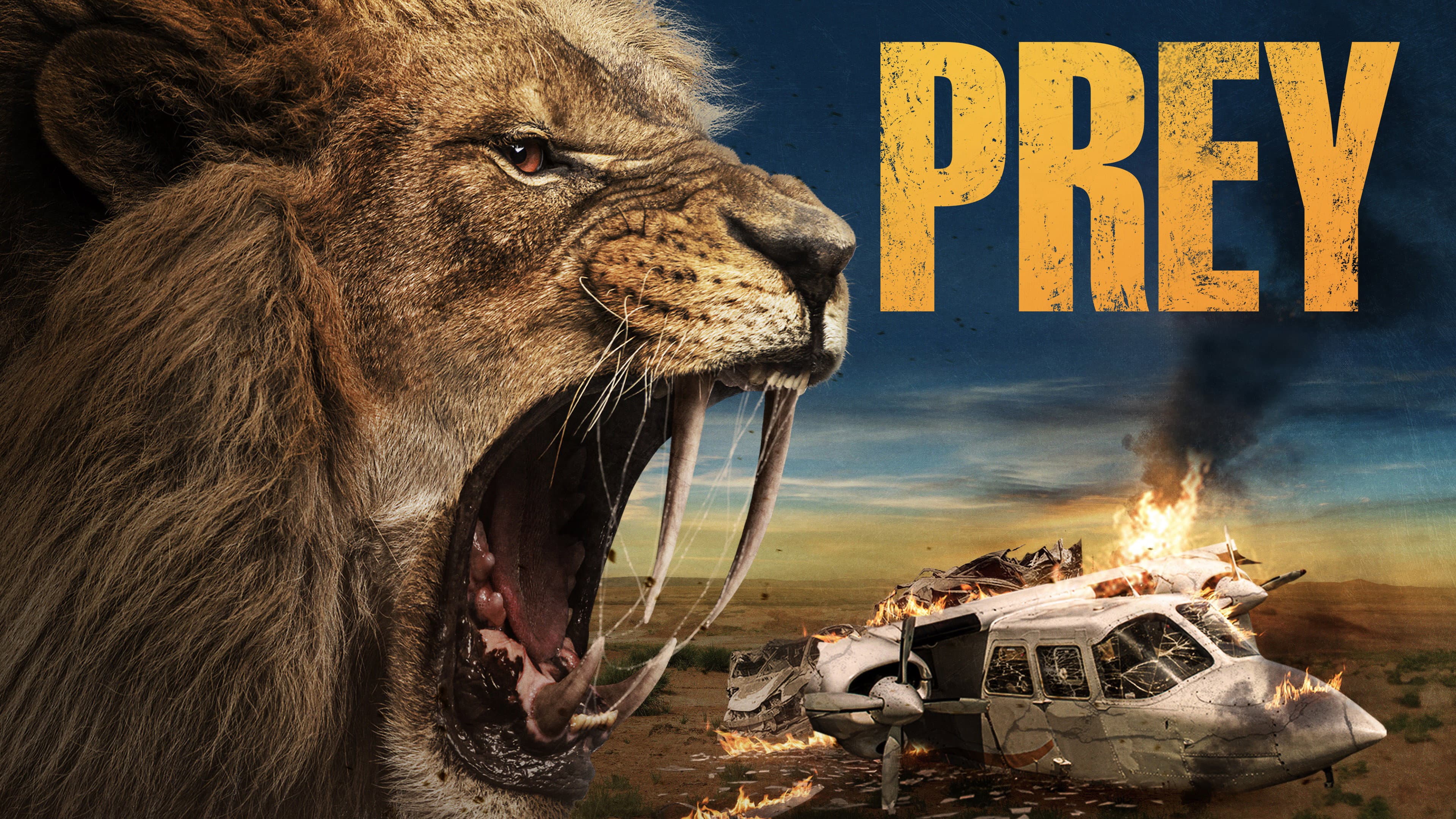 Prey - La grande caccia - immagine