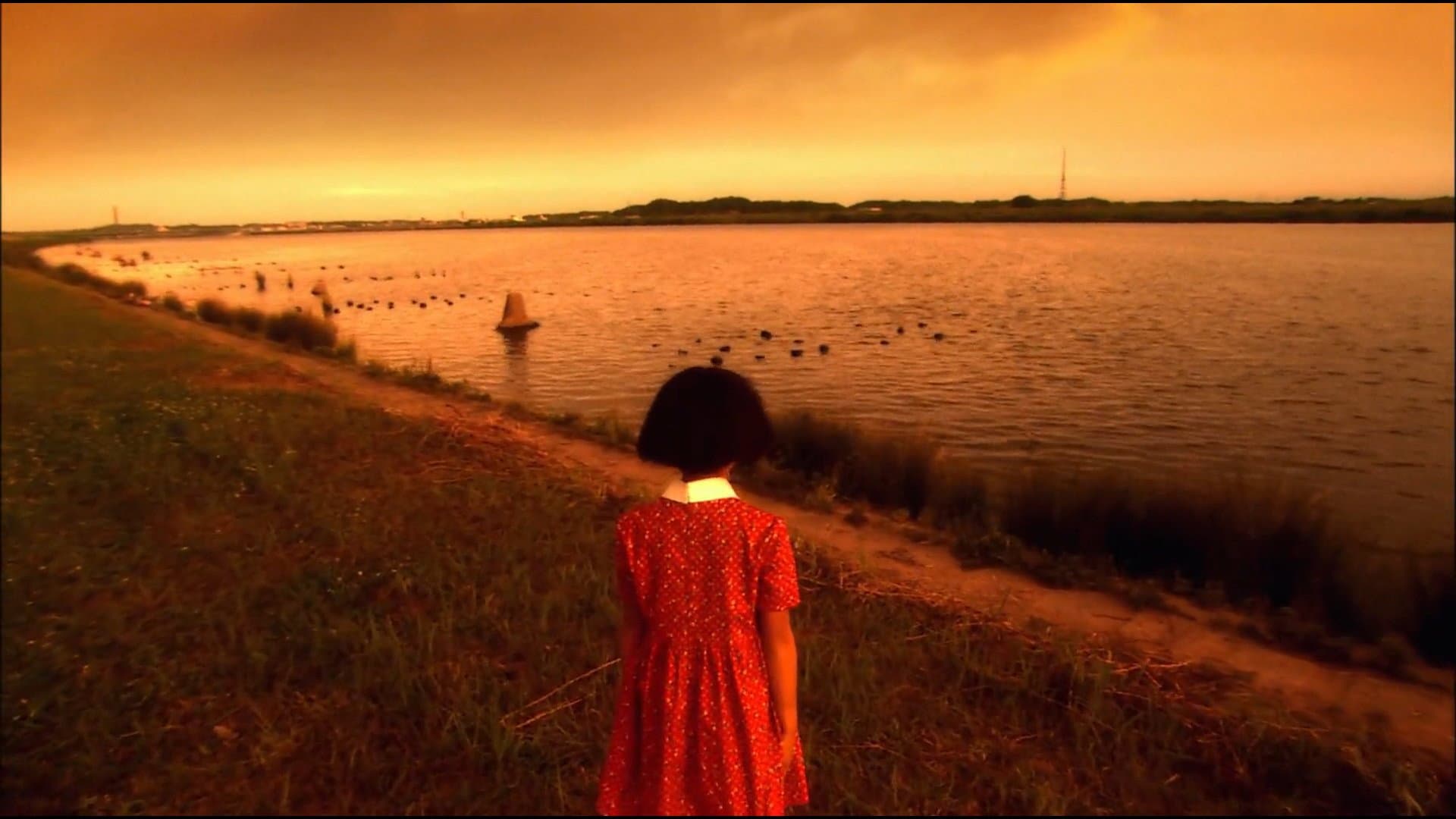 Memories of Matsuko - immagine