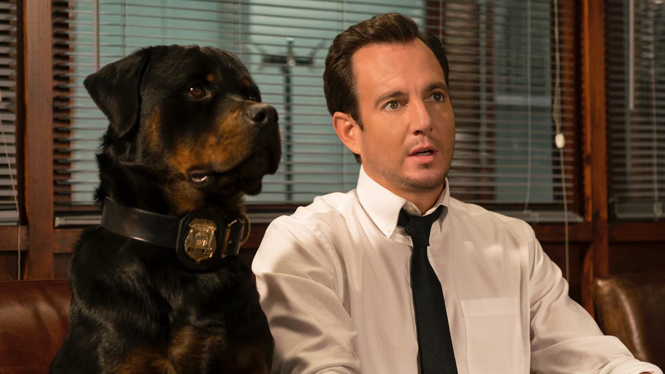 Show dogs - Entriamo in scena - immagine