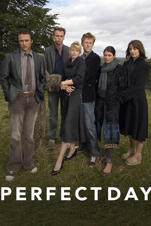Poster di Perfect Day