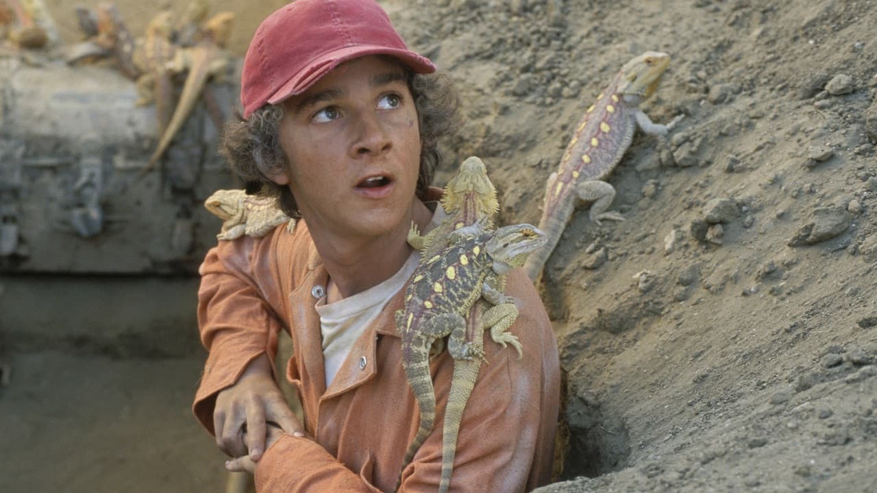Holes - Buchi nel deserto - immagine