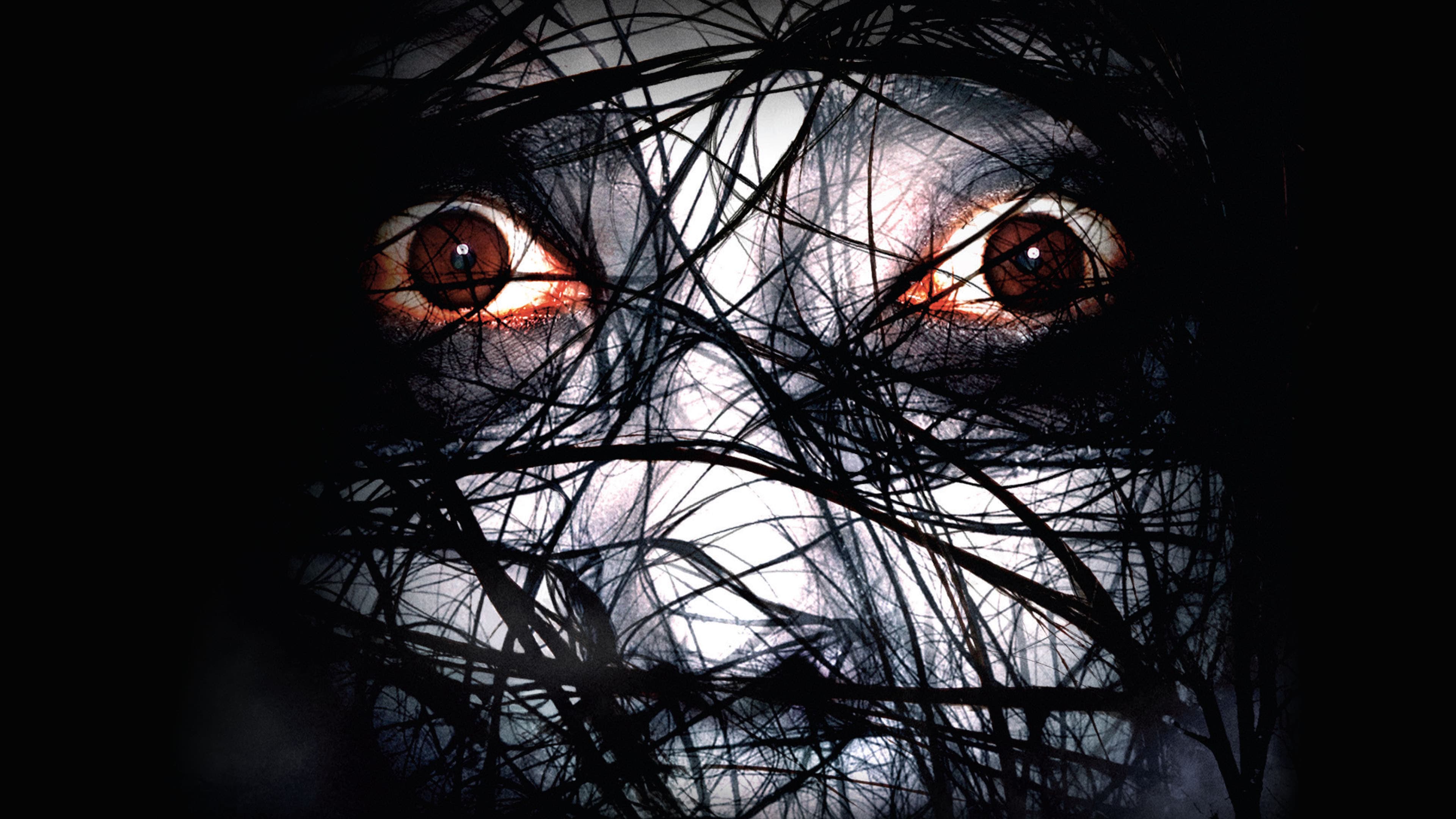 The Grudge 2 - immagine