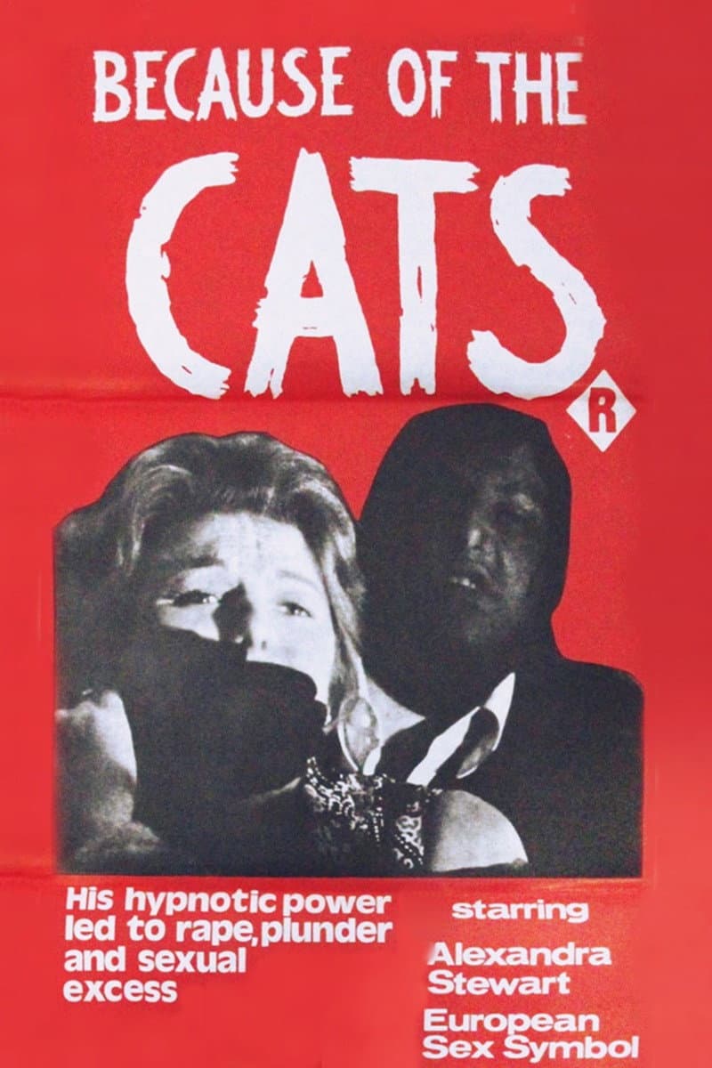 Poster di Perché i gatti