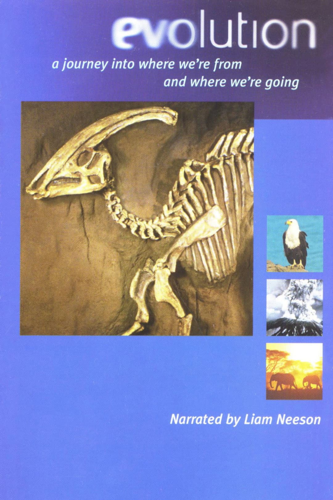 Poster di Evolution - Darwin's Dangerous Idea