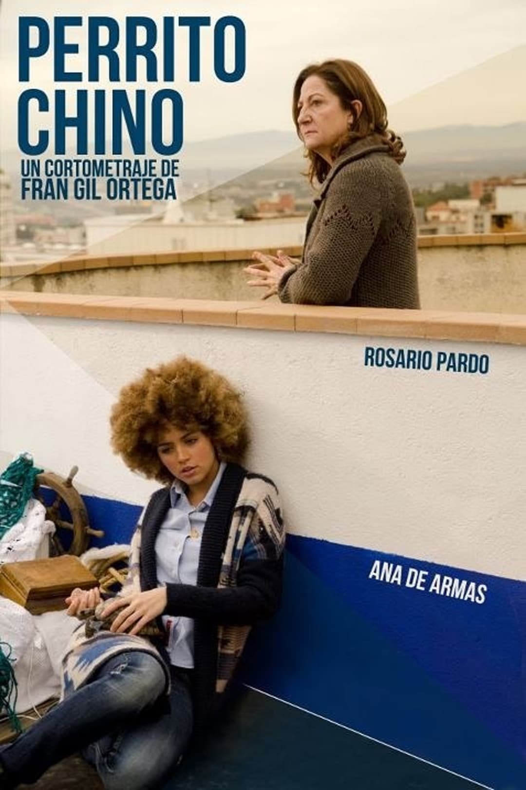 Poster di Perrito chino