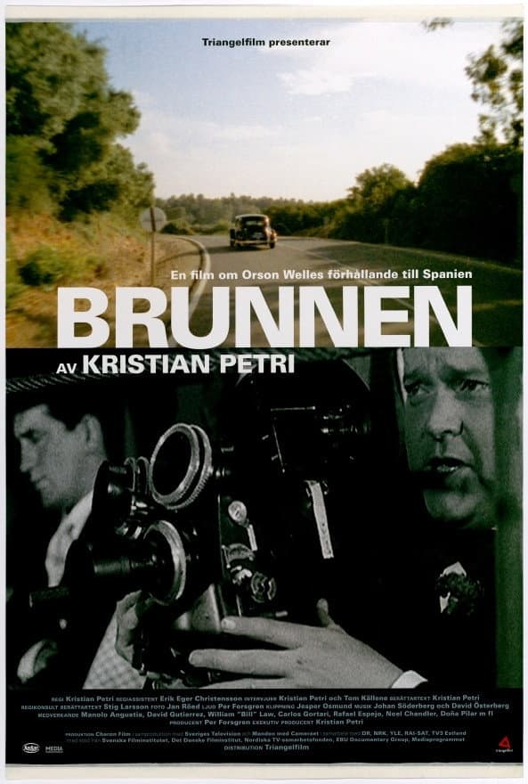 Poster di Brunnen