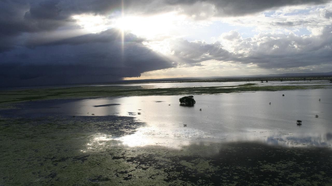 Africa's Lost Eden - immagine