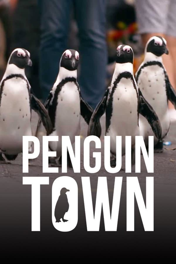 Poster di Il villaggio dei pinguini