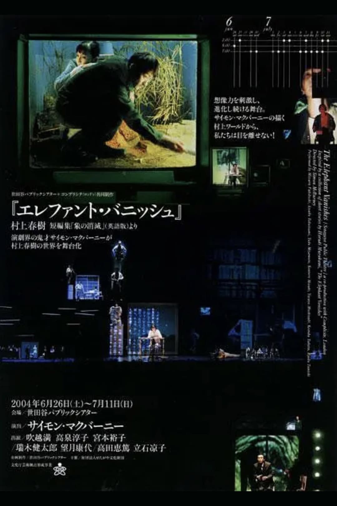 Poster di The Elephant Vanishes