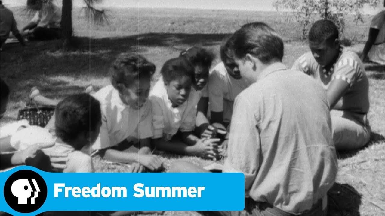 Freedom Summer - immagine