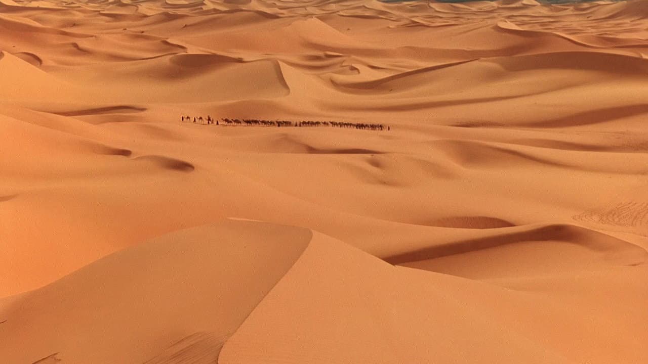 Il tè nel deserto - immagine