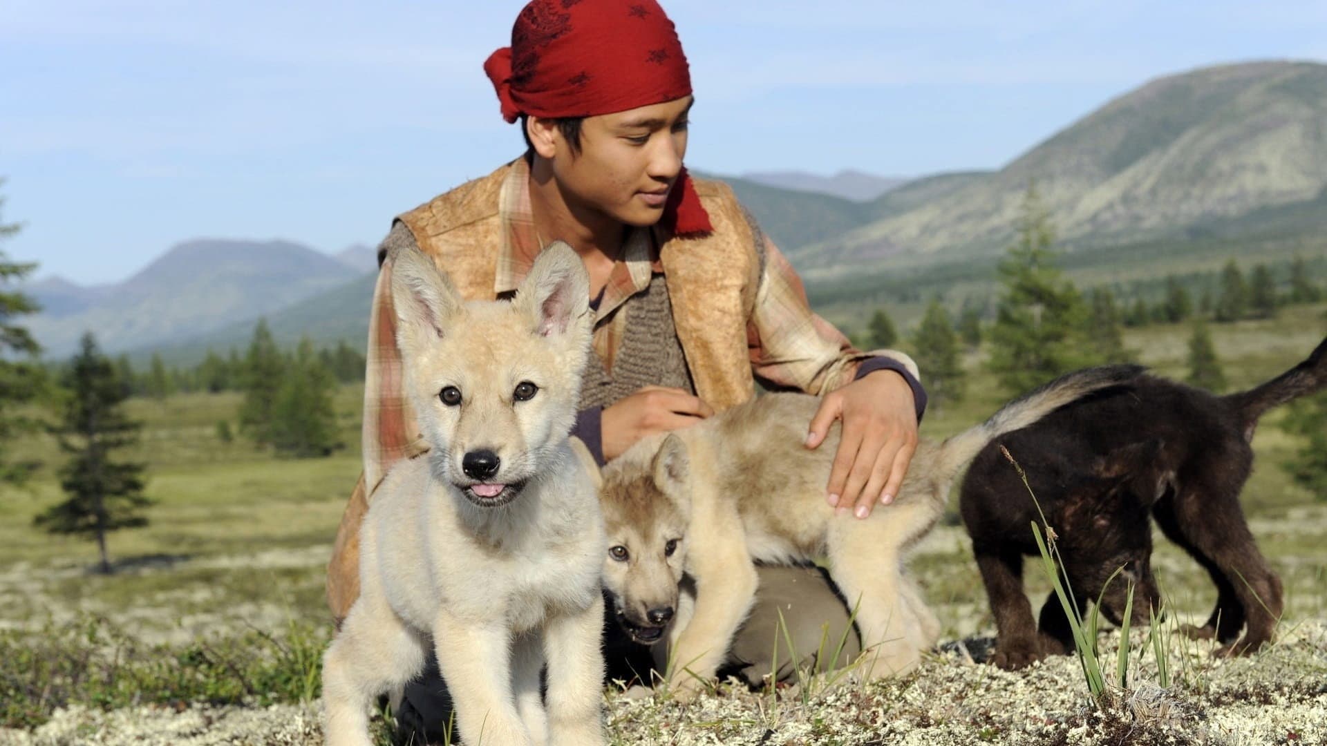 Loup - immagine