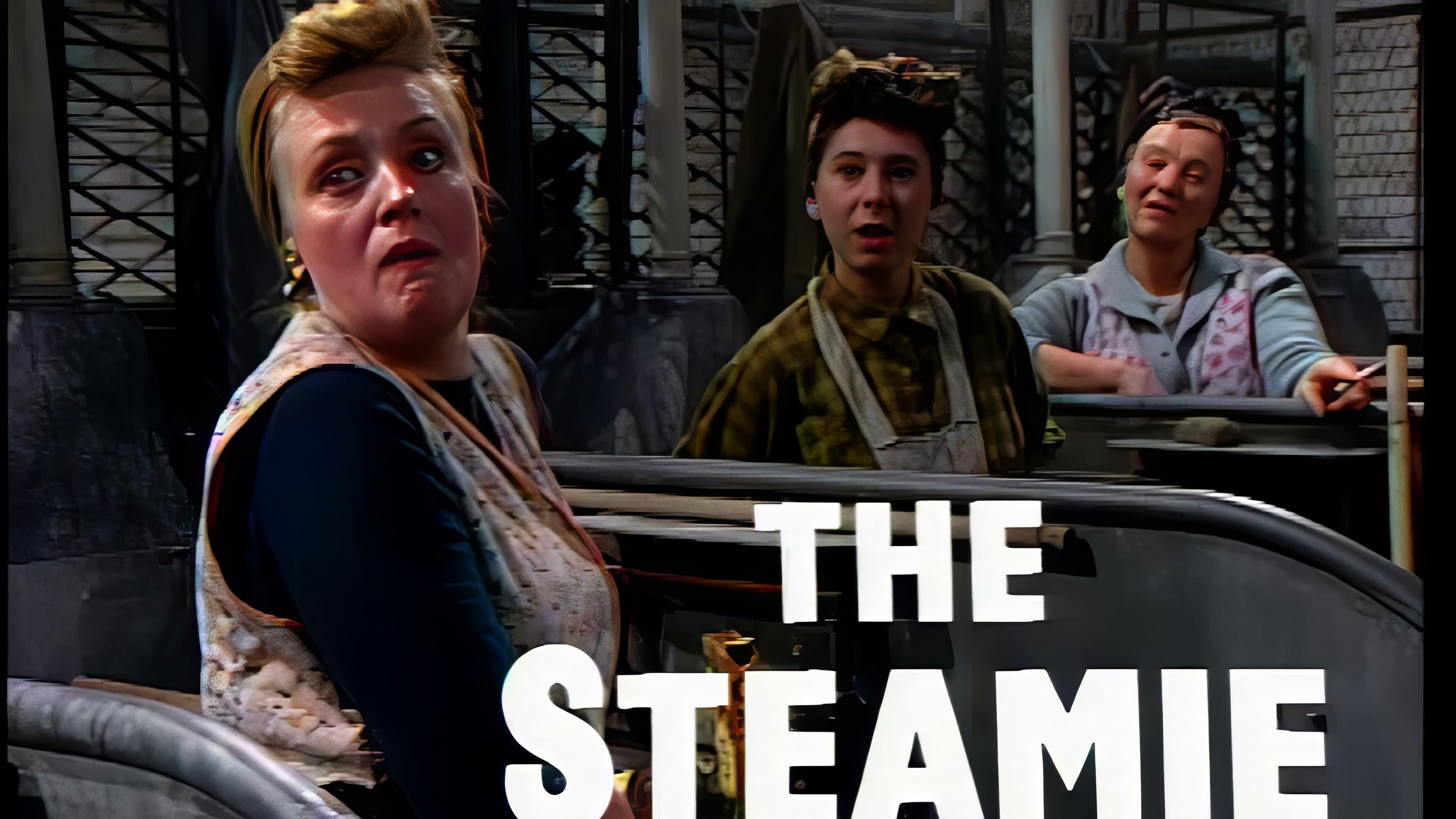 The Steamie - immagine