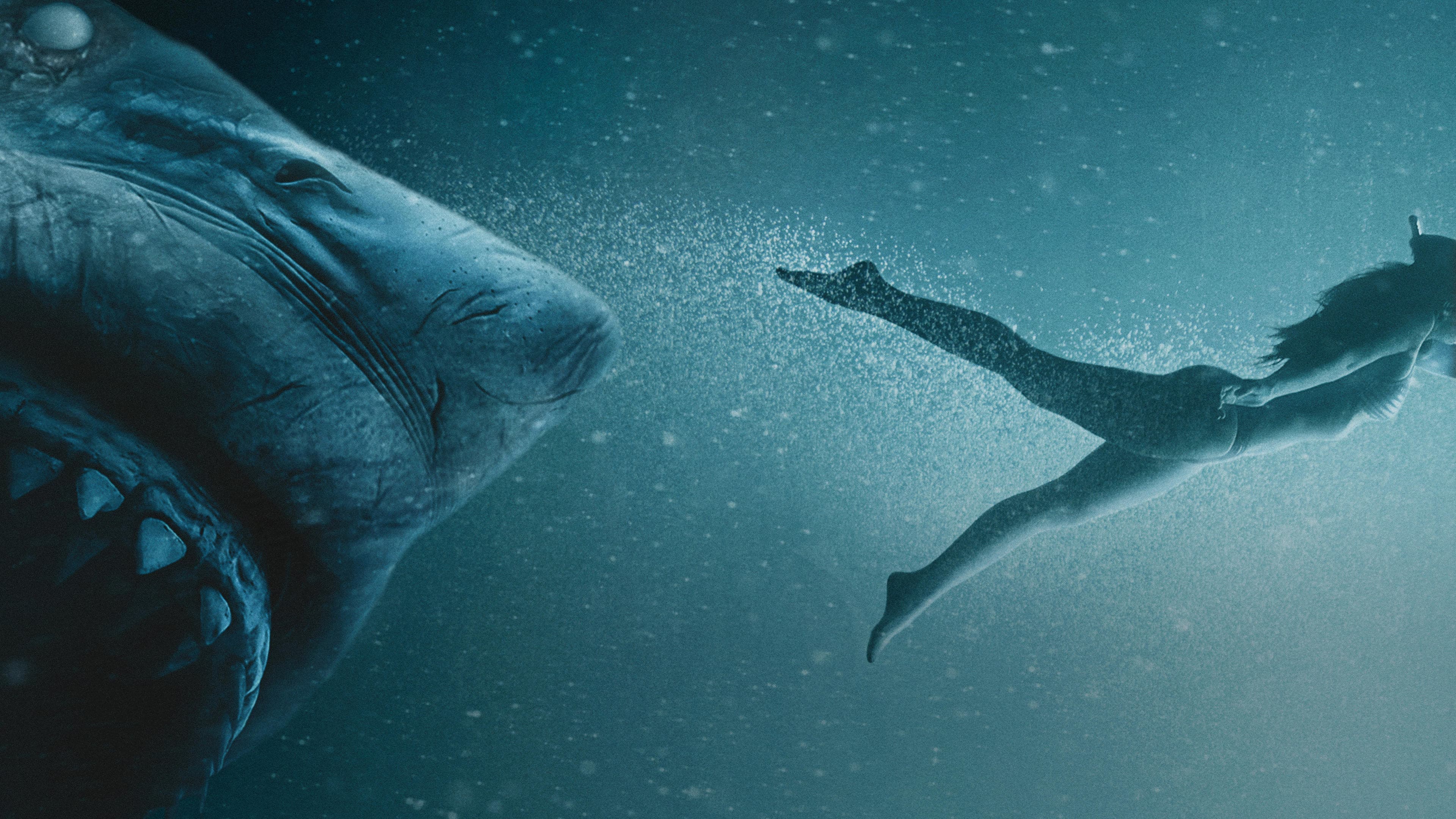 47 Metri: Uncaged - immagine