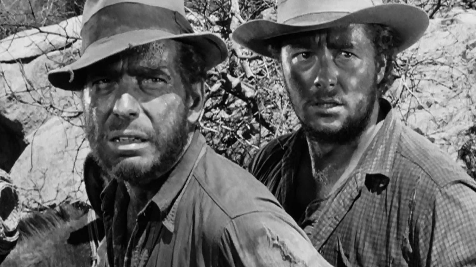 Il tesoro della Sierra Madre - immagine