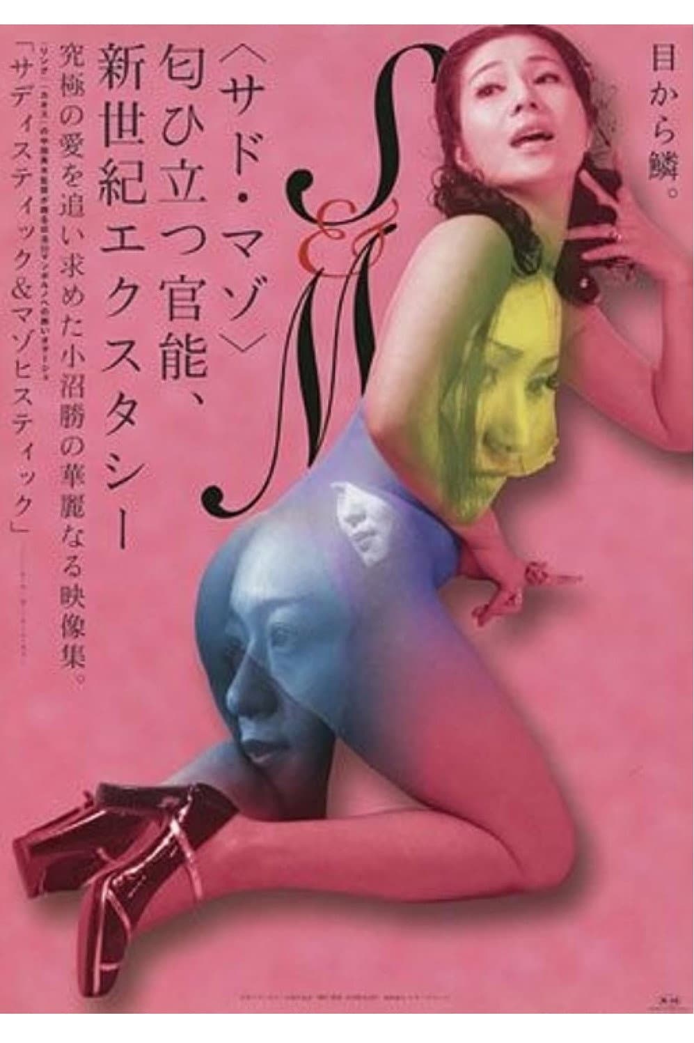 Poster di サディスティック＆マゾヒスティック