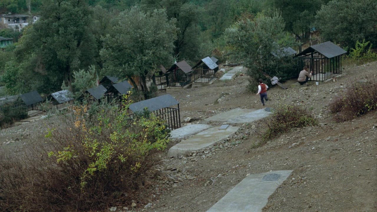 Dov'è la casa del mio amico? - immagine