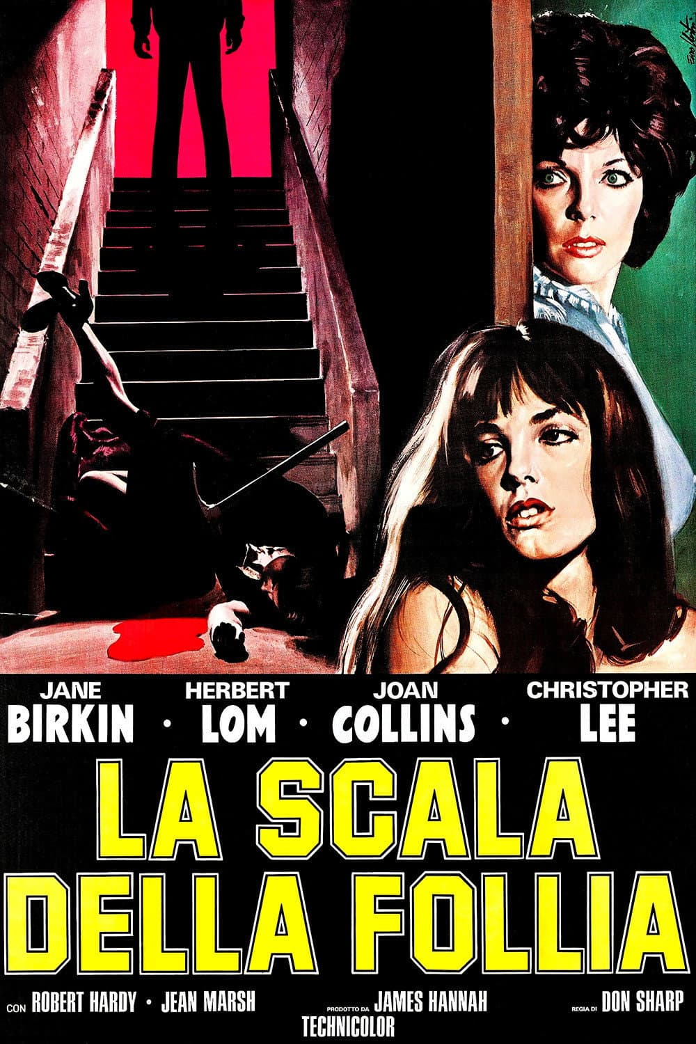 Poster di La scala della follia