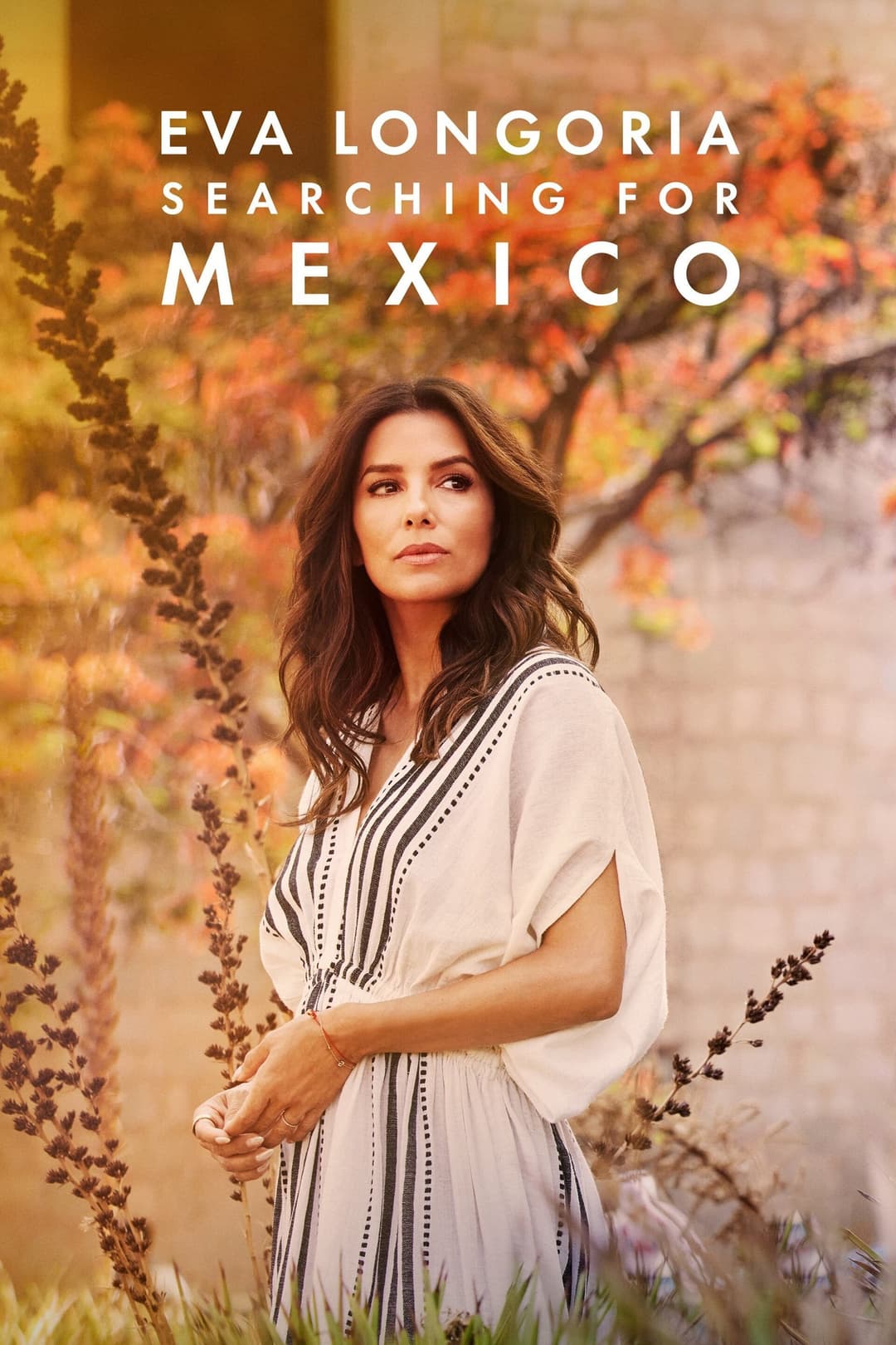 Poster di Eva Longoria: Searching for Mexico