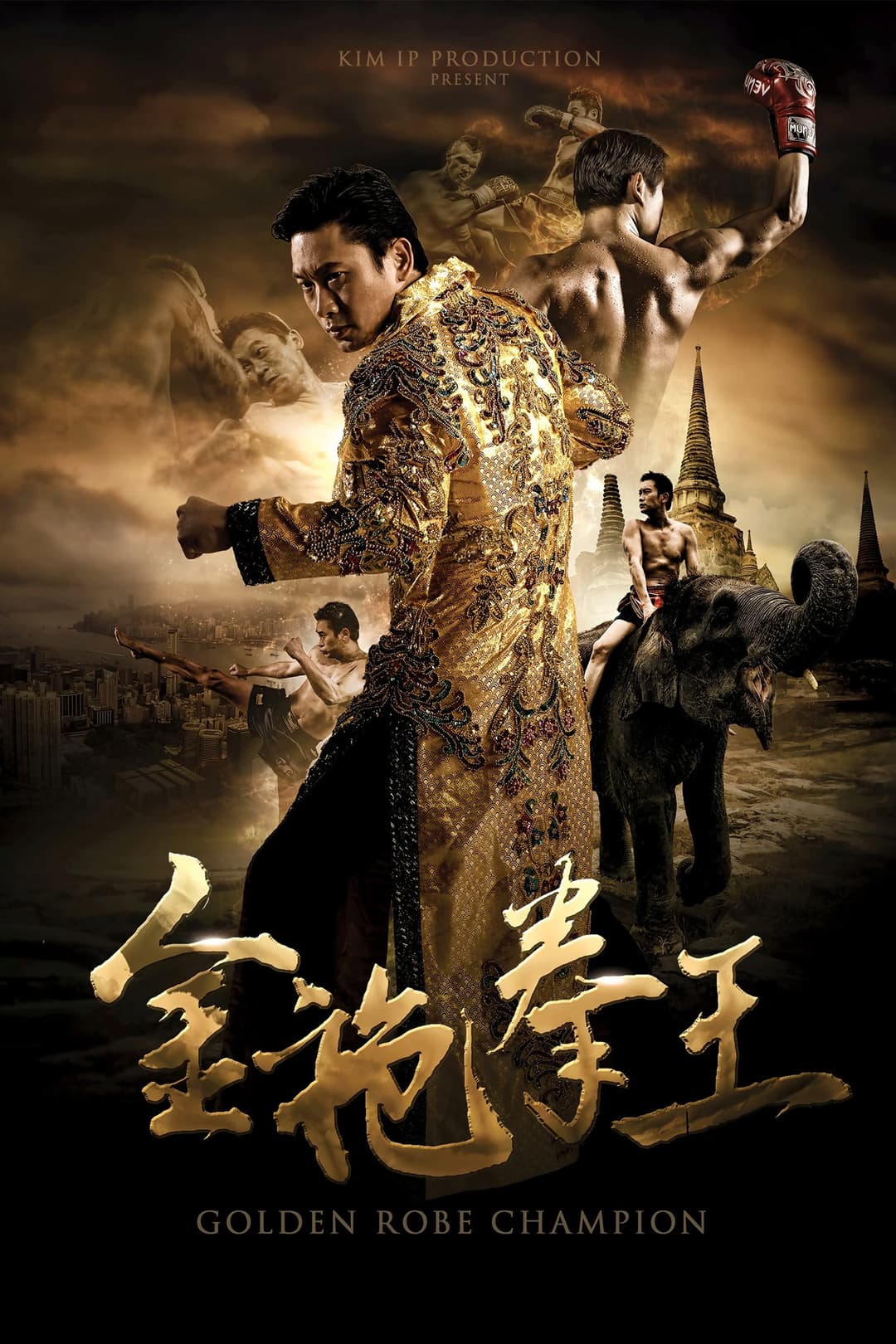 Poster di 金袍拳王