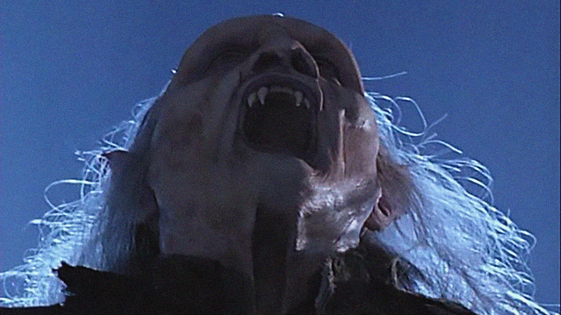 Children of the Night - immagine