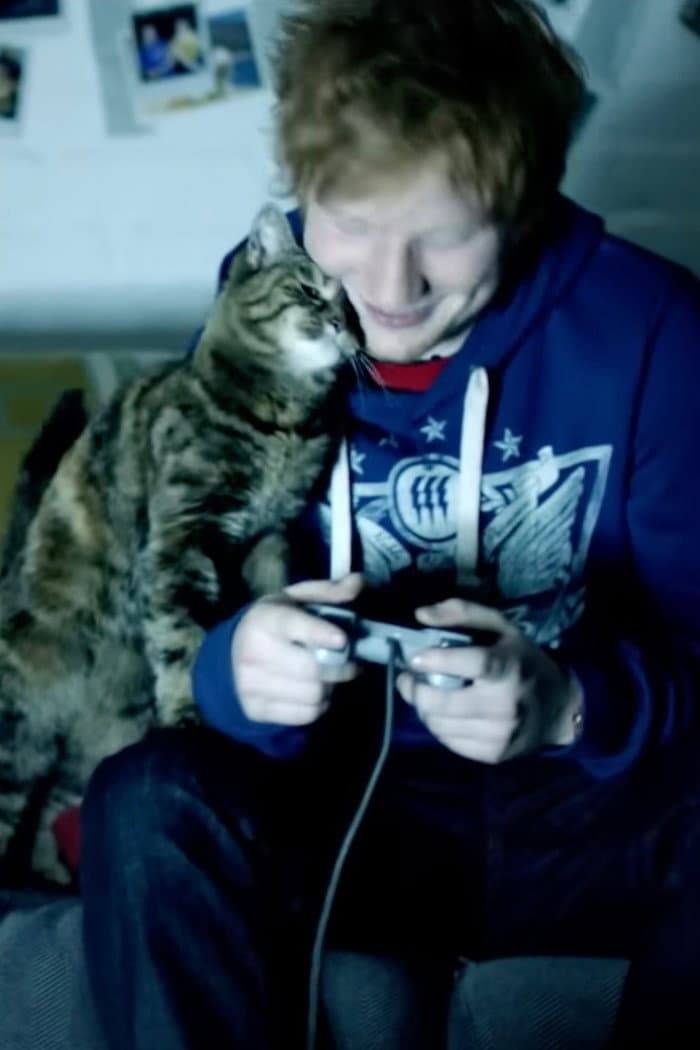 Poster di Ed Sheeran: Drunk