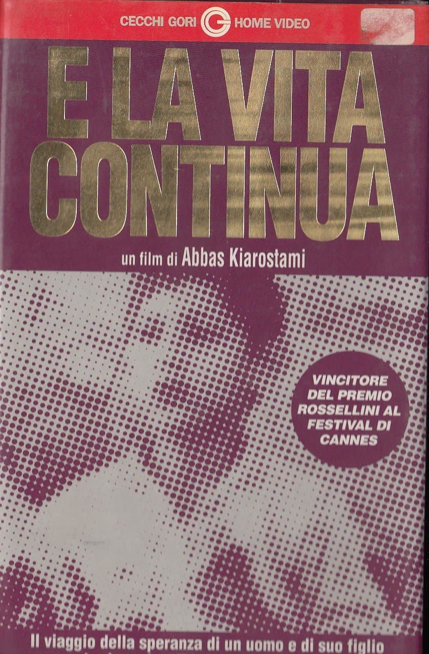 Poster di E la vita continua