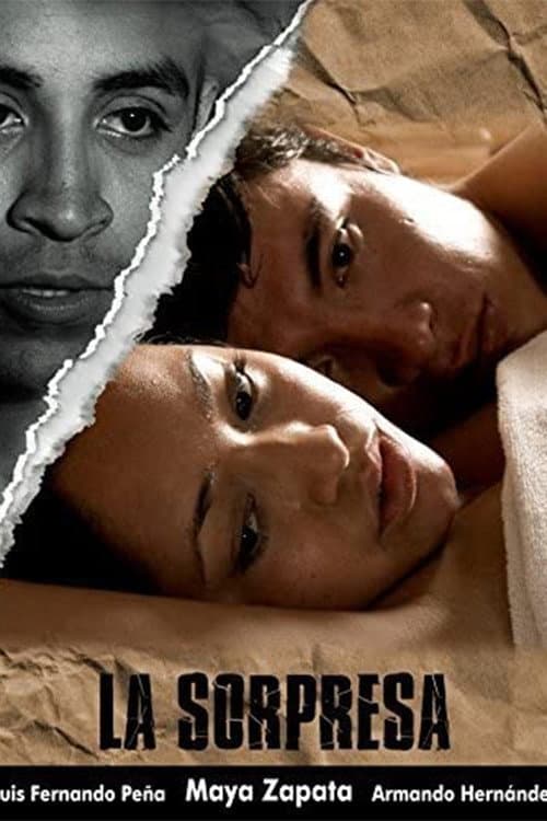 Poster di La sorpresa