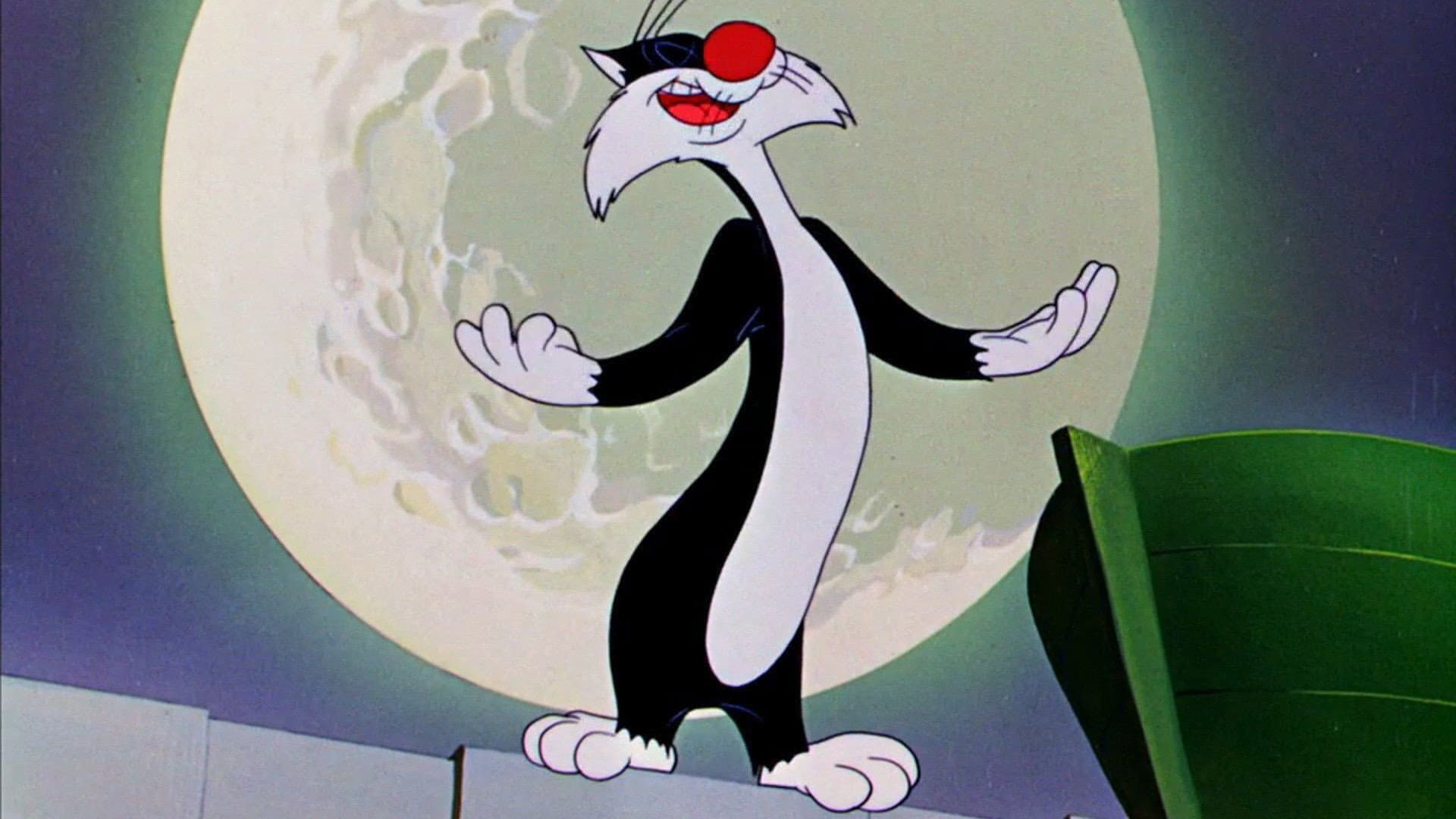 Il gatto canterino - immagine
