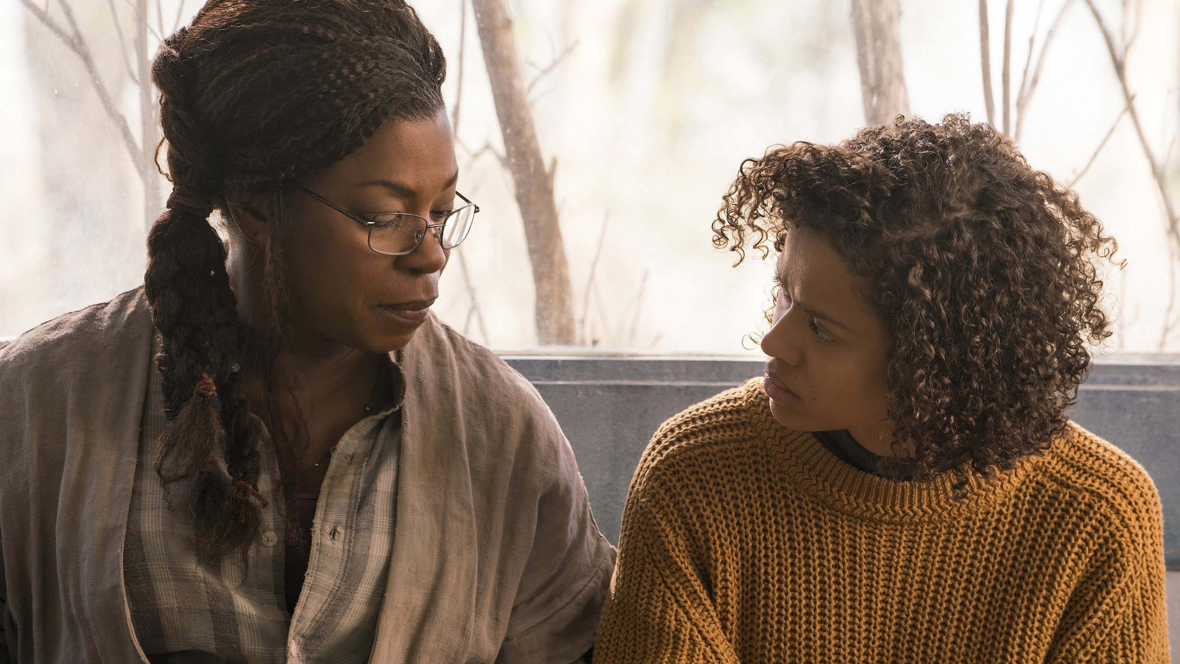 Fast Color - immagine