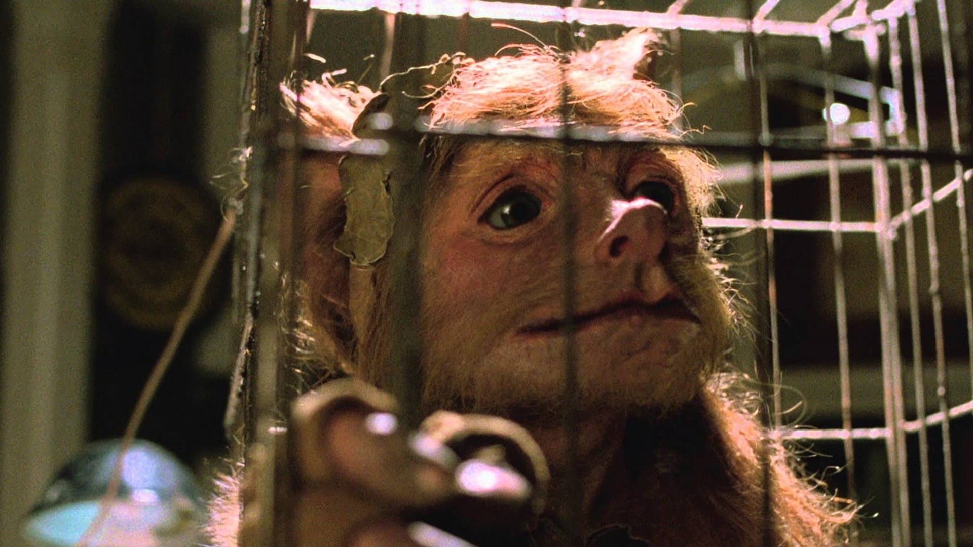 Lo gnomo e il poliziotto - immagine