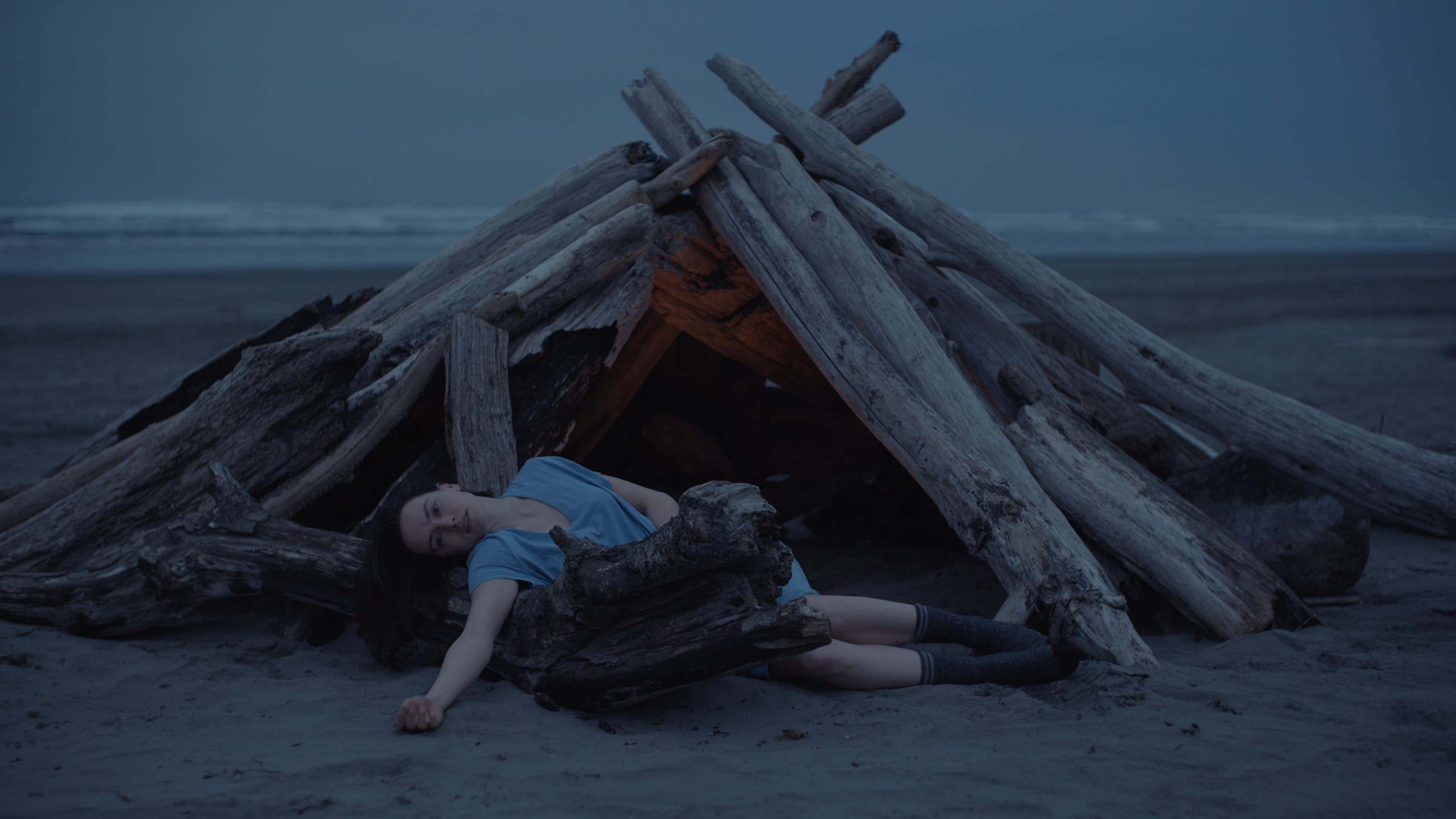 Sometimes I Think About Dying - immagine