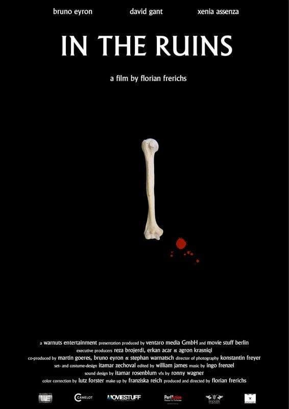 Poster di In the Ruins