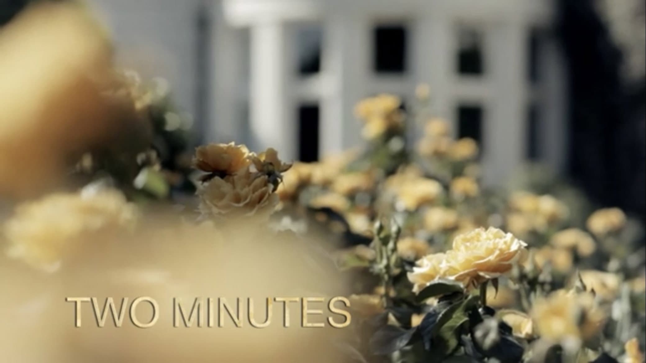 Two Minutes - immagine