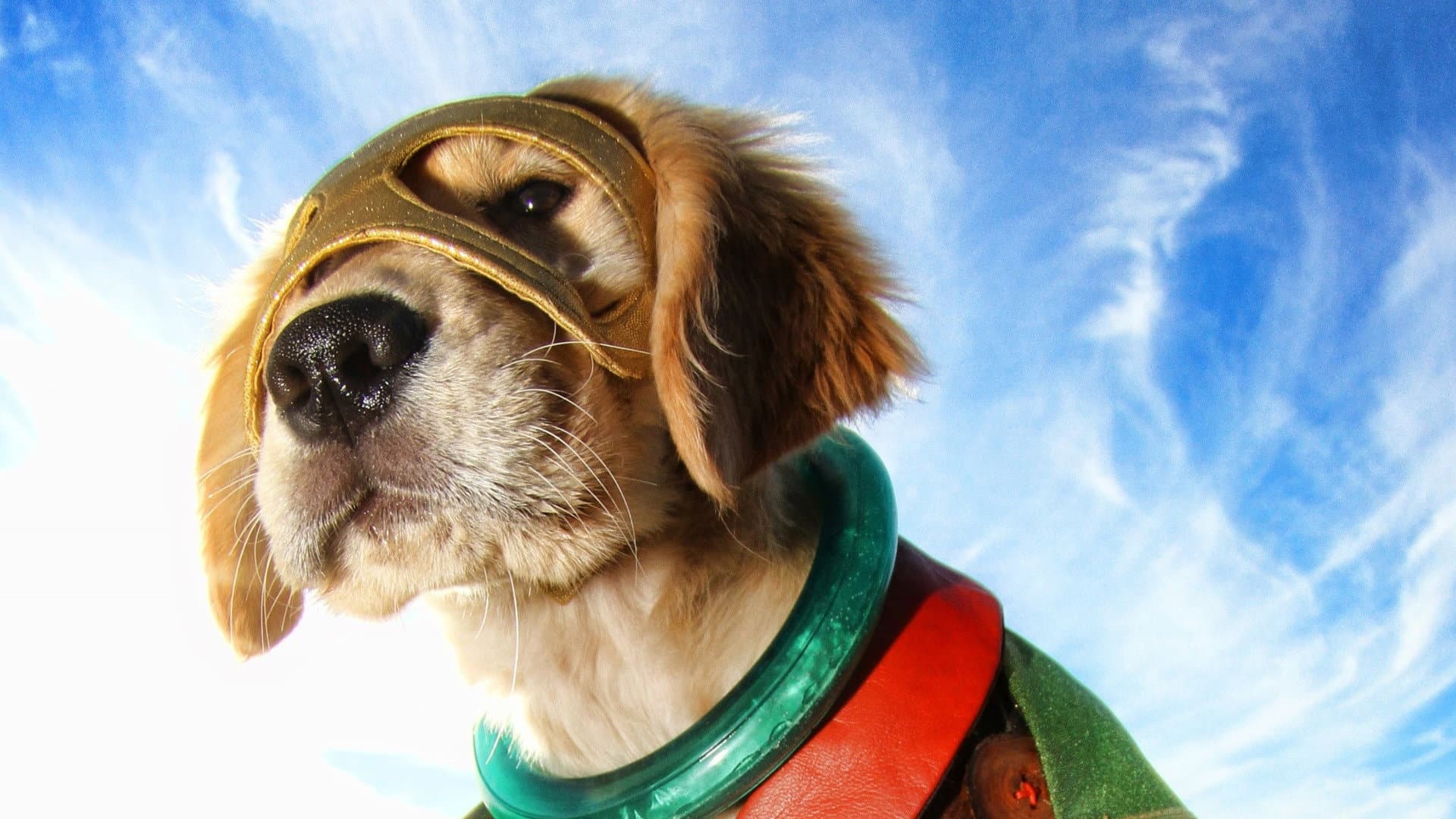 Supercuccioli - I veri supereroi - immagine