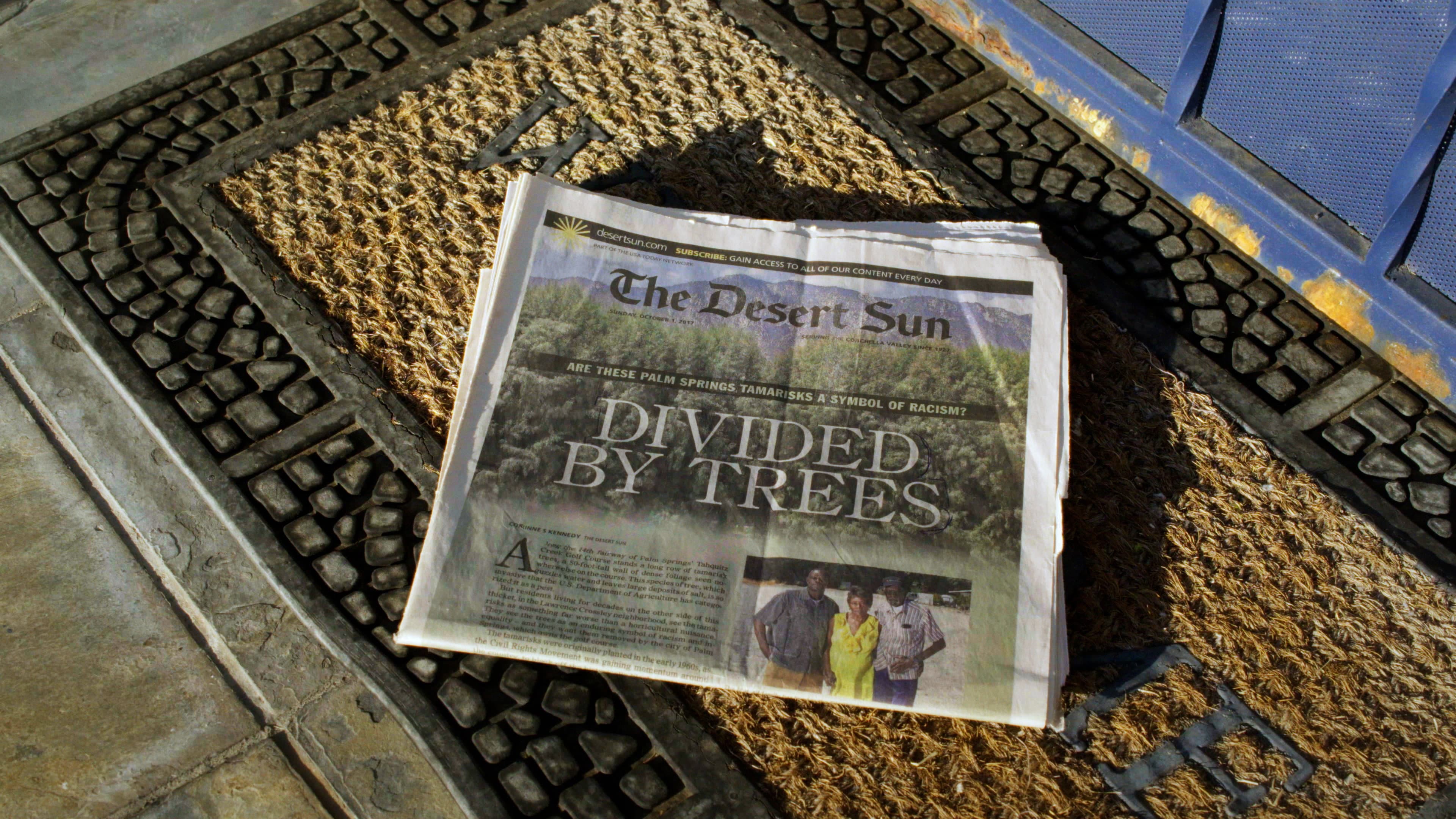 Racist Trees - immagine