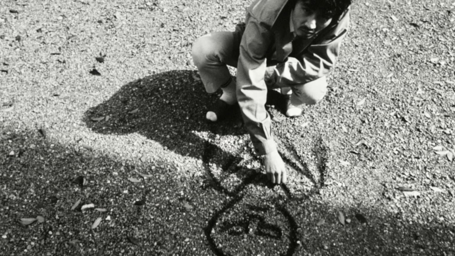 This Transient Life - immagine
